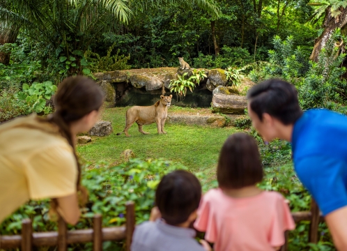 シンガポール動物園